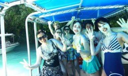 娱乐吃瓜君温婉,温婉背后的故事与真相